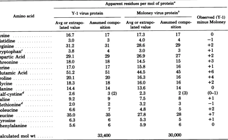 TABLE 1. Amino acid composition of the major internal structural protein of the Y-1 and Moloneyoncornavirus