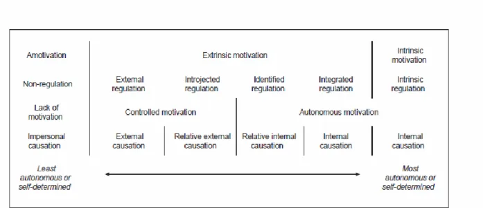 Figure 4. The Self-Determination Continuum of Relative Autonomy 