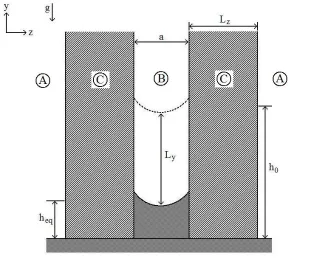 Figure 2.2: Breakdown of the Hele-Shaw cell into three primary regions: (A) represents exter-nal natural convection, (B) represents internal forced convection and (C) represents solid wallconduction