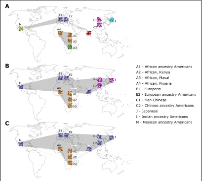 Figure B: Community detection usingferent thresholds.nity assigned by the algorithm. For visualization purpose, individuals are placed on the worldmap roughly corresponding to their ancestry.A) Threshold 0.198, 0.208 for East Asian component Walktrap algorithm on three networks with dif-Each node represents an individual, with colors representing the commu-B)Threshold 0.197 C) Threshold 0.189.