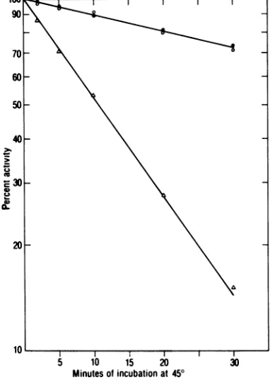 FIG. 7.andases Kinetics of heat inactivation of PC I (0) PC H (A) JLSV-10 intracelular DNA polymer- and Rauscher leukemia virus reverse transcrip-