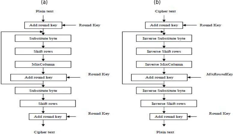 Fig. 2.4. (a) AES encryption, (b) Decryption 