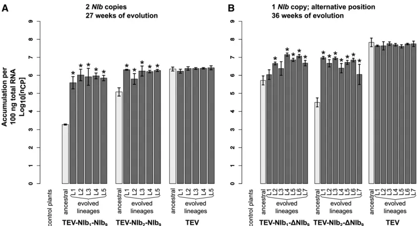 Figure 4 Virus accumulation of the evolved and ancestral lineages. Virus accumulation, as measured by RT-qPCR, of the different viral genotypes with aduplication of NIb (A) and with NIb moved to an alternative position (B) with the wild-type TEV and health