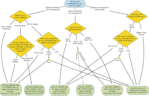 Figure 6 Flow chart summarizing recommended CRISPR techniques for different applications