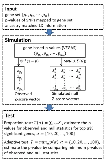 Figure S1 shows the schematic diagram of our simulation