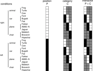 Figure 4: Experimental conditions and contrasts. Renderings of twelve different objects belonging to four dif-ferent categories were shown left and right of a ﬁxation dot