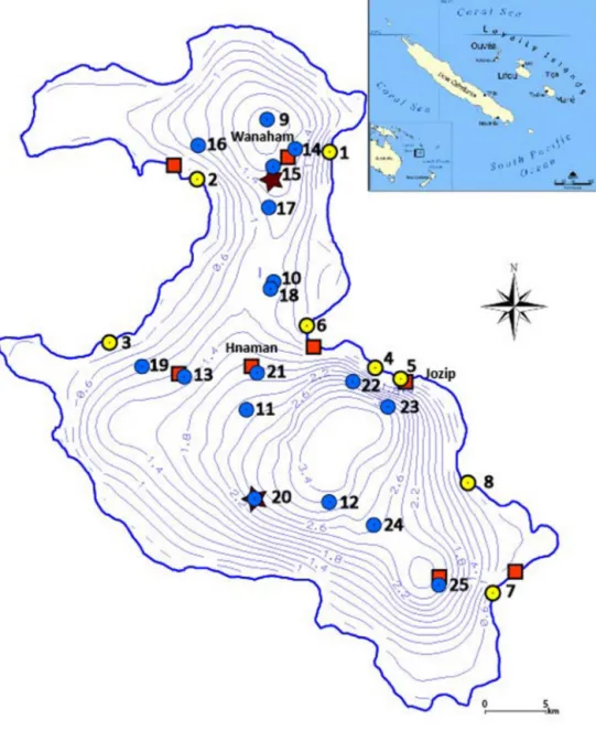 Fig. 1. Hydraulic map of Lifou, Loyalty Islands. Symbols: black stars = piezometers, red squares = rain gauges, blue dots = water wells, yellow dots = coastal fresh water seeps