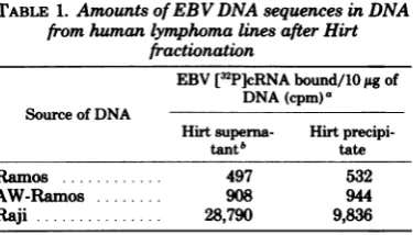 FIG. 5.andincentrifugation. A Analysis of intrinsic EBV DNA sequencesW-Ramos cells by actinomycin D-CsCl gradient Experimental conditions as in Fig