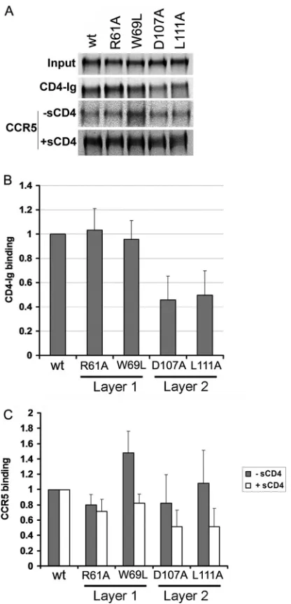 FIG 6 Binding of soluble SIVmac239 gp120 glycoproteins to CD4-Ig andCCR5. Normalized amounts of radiolabeled wild-type and mutant gp120 gly-coproteins were incubated with 13 nM CD4-Ig for 1 h at 37°C (A and B)