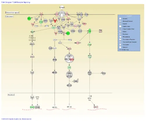 FIGURE 2 |The top-ranked enriched canonical pathway identiﬁedusing IPA, theT-cell receptor signaling pathway