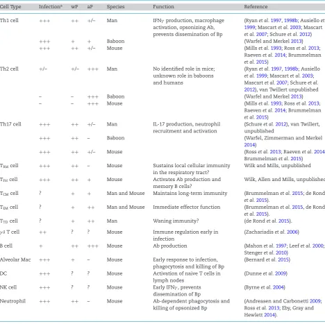 Table 1. The putative roles of different immune cells in protective immunity to B. pertussis.