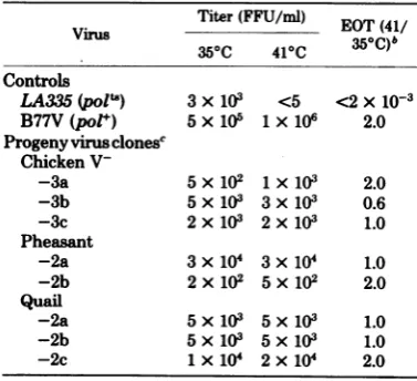 TABLE 4. Efficiency of transformation ofprogenyvirus isolates cloned at 350Ca