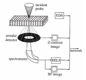 Figure 3.6 Schematic of an EELS spectrometer and HAADF detector in a STEM.6 