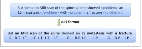 Figure 1: BIO Format (T = Test, P = Problem)