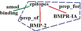 Figure 1: Part of the DT for the sentence “The bindingepitopes of BMP-2 for BMPR-IA was characterized usingBMP-2 mutant proteins”