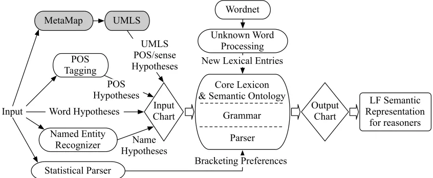 Figure 2: Front-end language processing components with MetaMap and UMLS