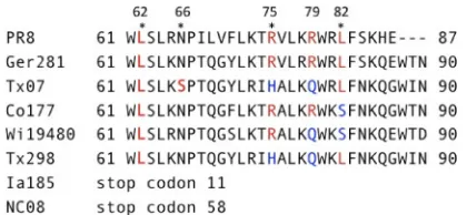 FIG 1 C-terminal sequences of PB1-F2 from selected swine ﬂu isolates.Amino acids that have been previously identiﬁed and characterized (1) are inred (virulent) and blue (avirulent).