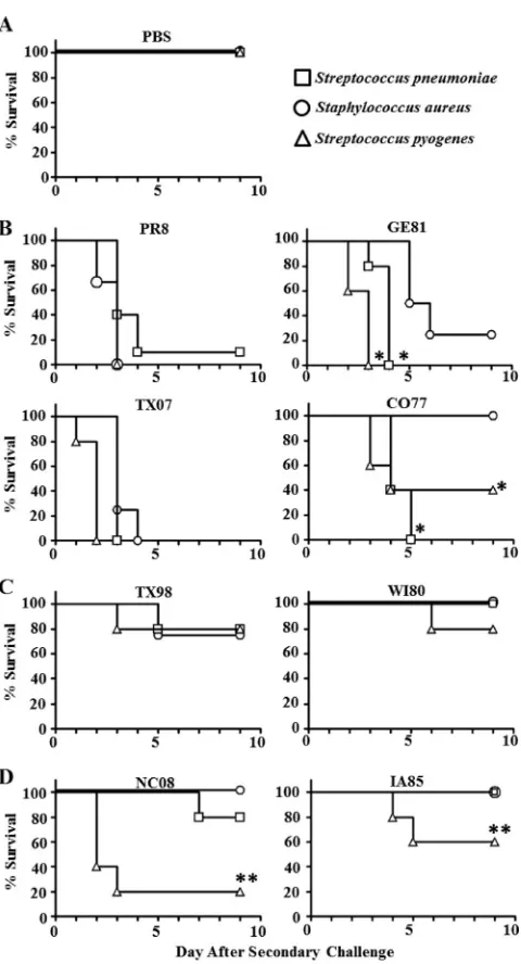 FIG 4 Survival after secondary challenge. Mice were infected intranasally with0.25 LD50 of inﬂuenza virus and followed 5 days later with a sublethal dose ofbacteria (S