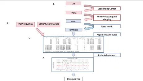 Figure 2.2. RiboStreamR Data Processing Pipeline. (A) Overview of flow of data from sample 