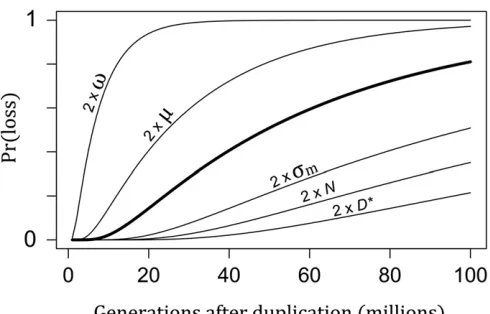 Figure 4 The probability of gene loss after duplication. The thick curvepopulation size isexpression threshold isshows the probability of loss, either through pseudogenization or neo-functionalization, over time with standard parameter values: the selectio
