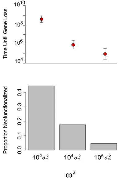 Figure 6 Dosage-balance selection and the probability of neofunctional-ization. The top panel shows the number of mutations (a proxy for time)that occur before one of the duplicates neofunctionalizes or pseudoge-nizes