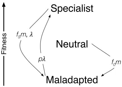FiguresSpecialist