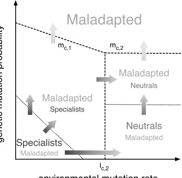 Figure 5. Species densities at the steady state for small p. Left panel: Genome