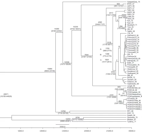 FIG 1 Maximum clade credibility tree of the tick-borne ﬂaviviruses. The node labels indicate the tMRCA, with the 95% HPD in parentheses