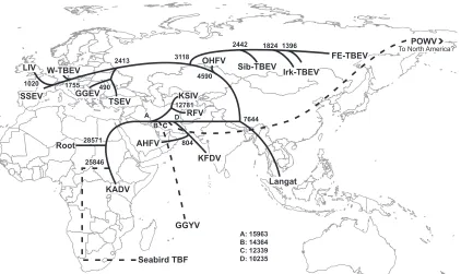 FIG 3 Possible model for TBF dispersal. The maximum clade credibility tree was manually plotted onto geographic space showing the most parsimonious routeof dispersal for these viruses based on all complete genomic sequences