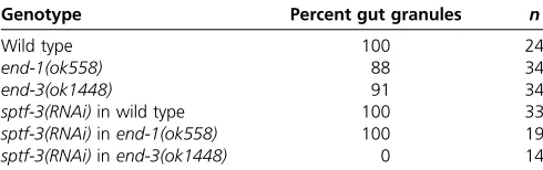 Table 1 Birefringent gut granules failed to form in sptf-3(RNAi);end-3(ok1448) embryos