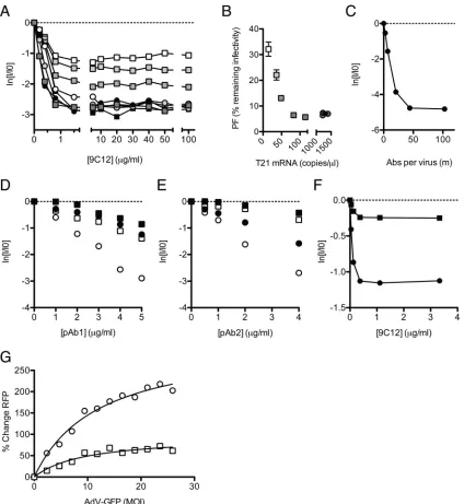FIG 4 Infection and persistence are inﬂuenced by the neutralization mechanism and viral MOI