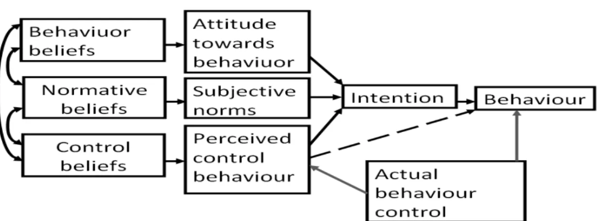 Figure 1.1: The Model for the Theory of Planned Behaviour   Source: Ajzen (1991) 