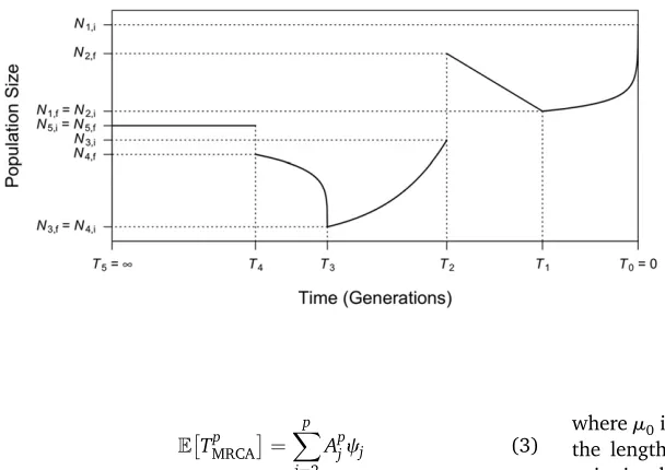 Figure 1 Illustration of an example of a generalized de-fromcorresponding to an instantaneous population sizecline (a special case of generalized decline whenward in time (Nfromgrowth (a special case of generalized growth whenbprevious epoch is not necessa