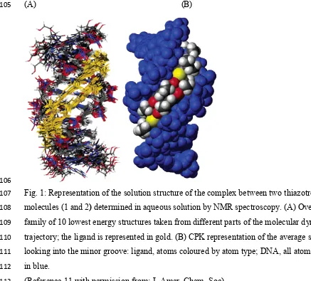 Fig. 1: Representation of the solution structure of the complex between two thiazotropsin A 