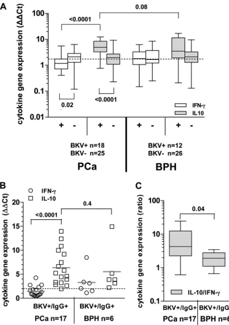 FIG 3 Cytokine gene expression pattern uponafter L-Tag peptide stimulation of PBMC from BKVstimulation was used as background to compute fold changes in speciﬁc geneexpression (cytokine gene relative quantiﬁcation [2 ex vivo BKV L-Tag peptide poolstimulati