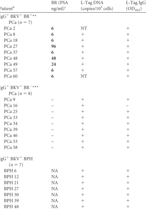 TABLE 3 Analysis of L-Tag IgG� patients bearing BKV� PCa with orwithout BRa