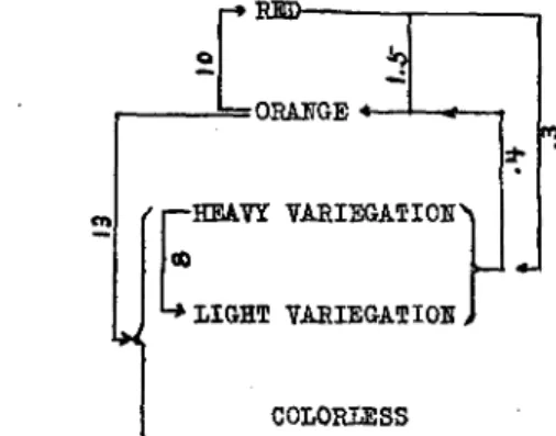 FIGURE  7.-A  diagram  to show the relative frequencies of  pericarp-color and pattern changes  expressed in numbers per  thousand kernels