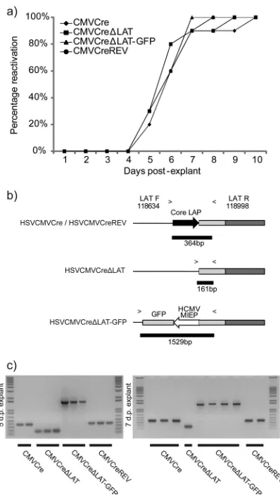 TABLE 1 Summary of individual experiment data from inoculumdosage study