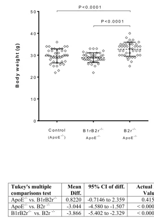 Figure 4.2 Comparison of body weight of kinin deficient and control mice. Baseline weight of mice prior to AII infusion