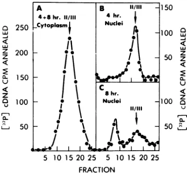 FIG. 8.coefficientgradientbacterialparallelrotorpools Analysis ofpulse-labeled viral DNA in alkaline sucrose gradients