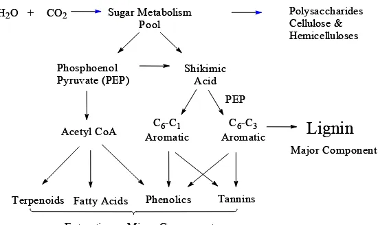 Figure 2.3  Primary and secondary metabolic pathways leading to the biosynthesis of lignin and                    wood components
