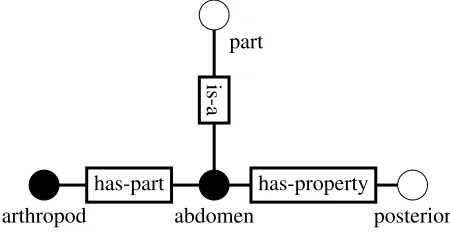 Figure 1: A concept map fragment. Key terms have blacknodes.