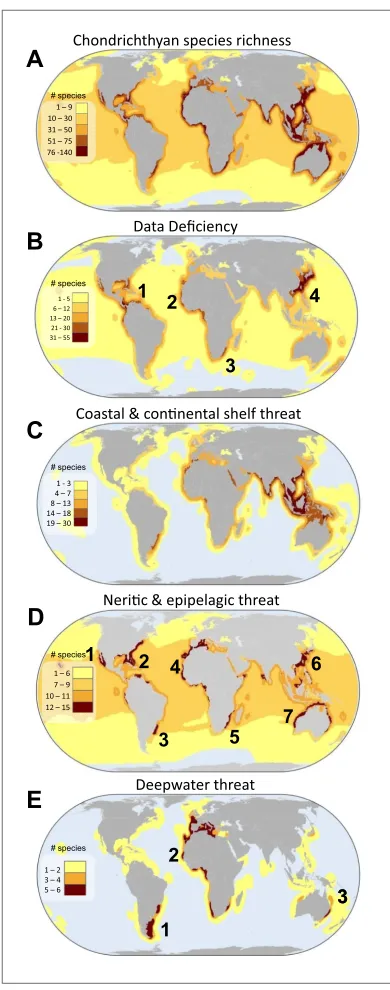 Figure 7. Global patterns of marine chondrichthyan diversity, threat and knowledge. (A) Total chondrichthyan richness, (B) the number of Data Deficient and threat by major habitat: (C) coastal and continental shelf (<200 m depth), (D) neritic and epipelagi
