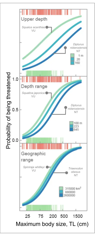 Figure 4. Life history sensitivity, accessibility to fisheries and extinction risk. Probability that a species is threatened due to the combination of intrinsic life history sensitivity (maximum body size, cm total length, TL) and accessibility to fisherie