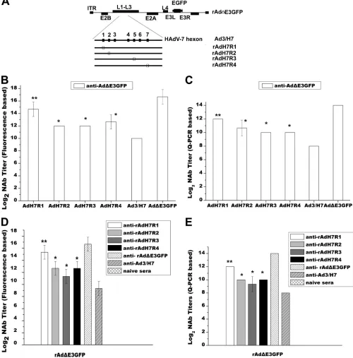 FIG 6 Cross-neutralization NAb responses between rAd3/H7-based hexon chimeric vectors and rAd�E3GFP
