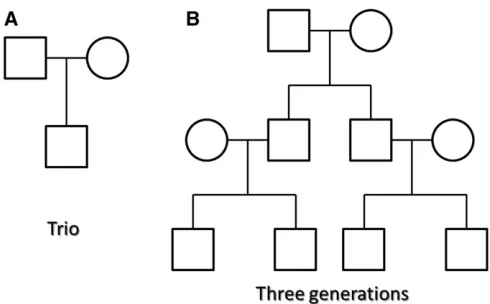 Figure 1 Pedigree structures used in simulation studies.