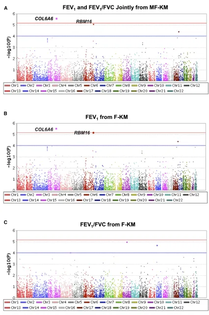 Figure 4 Genome-wide gene-based results of MF-KM and F-KM on lung function data. Each dot represents a P-value of a gene.