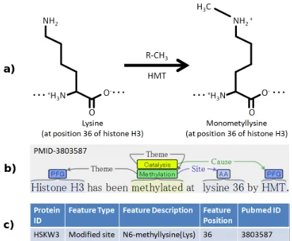 Figure 1:Three views of protein methylation.a)chemical formula b) event representation c) modiﬁcationdatabase entry.