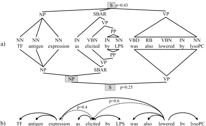 Figure 1: Example sentence from the GENIA corpus. (a) Two of the top 50 constituency parses from the MCCC-I  parser; the first had a total probability mass of 0.43 and the second 0.25 after renormalization