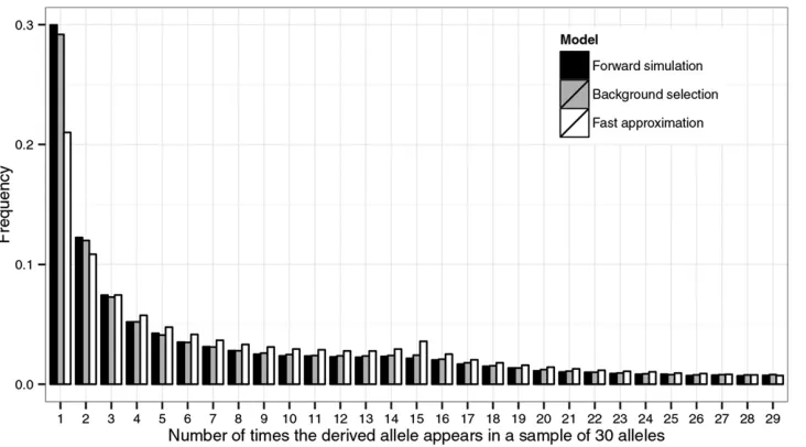 Figure 3 Site-frequency spectrum inequivalent to a neutral model with two equal-sized demes and an effective migration ratepredicted by the coalescent model with background selection; data not shown)